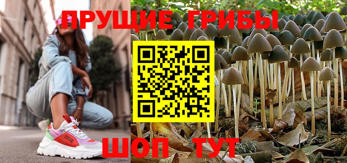 Псилоцибиновые грибы Magic Shrooms Сочи